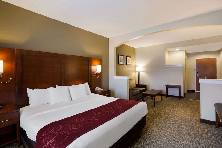1 King Bed Suite (11 of 25)
