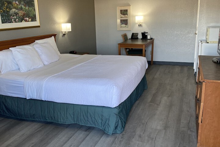 1 King Bed Mobility Hearing Accessible Room Bathtub with Grab Bars (9 of 14)
