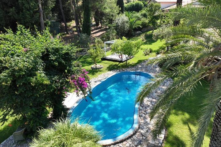 Pool 13 of 58