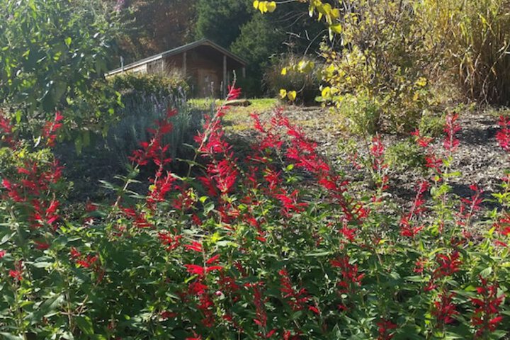 Hotel Exterior 55 of 66