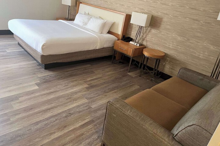1 King Bed Accessible (8 of 15)