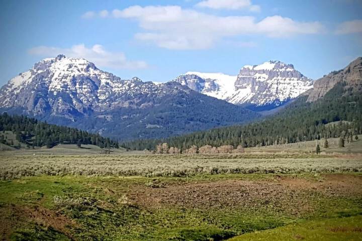 Property Grounds 28 of 32