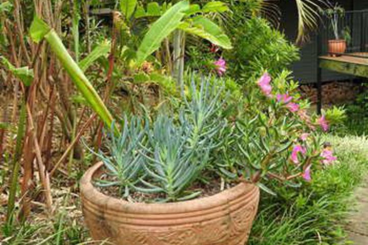 Hotel Exterior 6 of 22