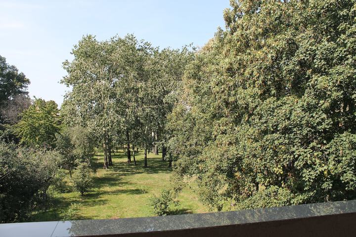 Hotel View 105 of 106