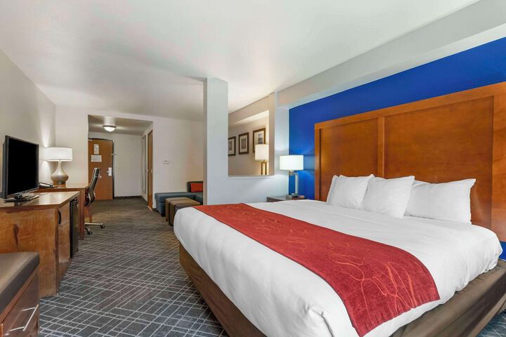 1 King Bed Suite (8 of 16)