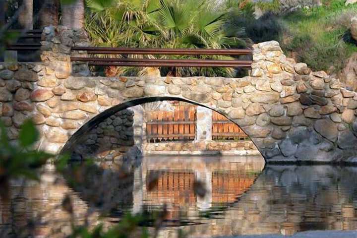 Lake view