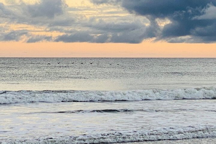 Beach 59 of 74