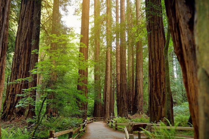 Hiking