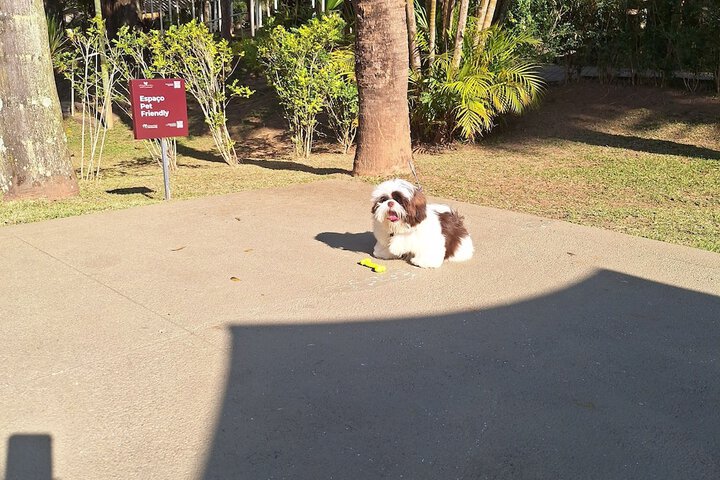 Pet Friendly 65 of 125
