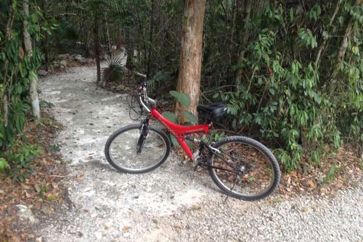 Kiool Eco Hotel & Cenote