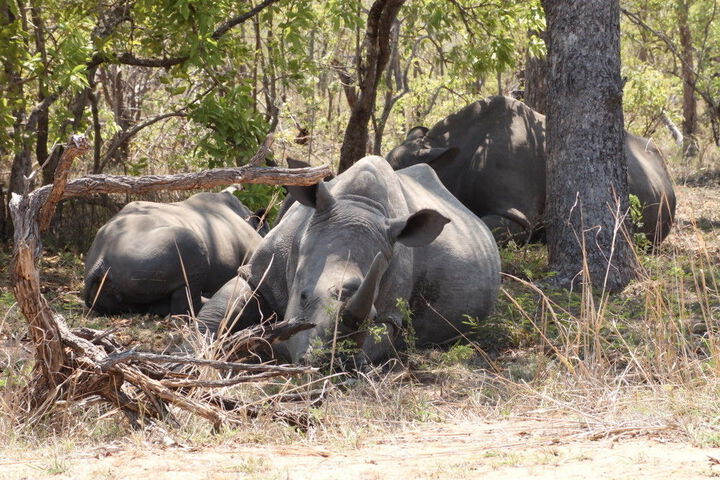 Property Grounds 15 of 21