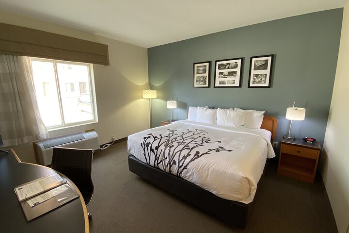 1 King Bed (1 of 14)