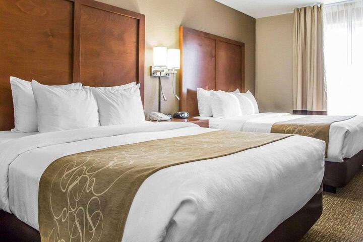 2 Queen Beds Business Room Accessible (6 of 13)