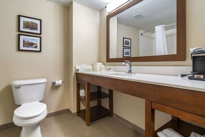 1 King Bed Suite (2 of 10)