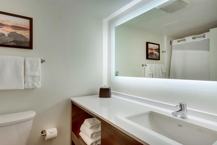 Standard King Bed Pet Friendly (7 of 29)