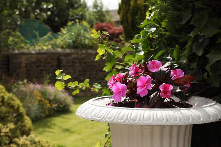 General 40 of 50