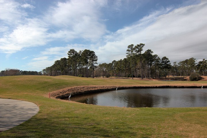 Golf 39 of 52