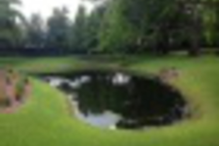 Property Grounds 15 of 323