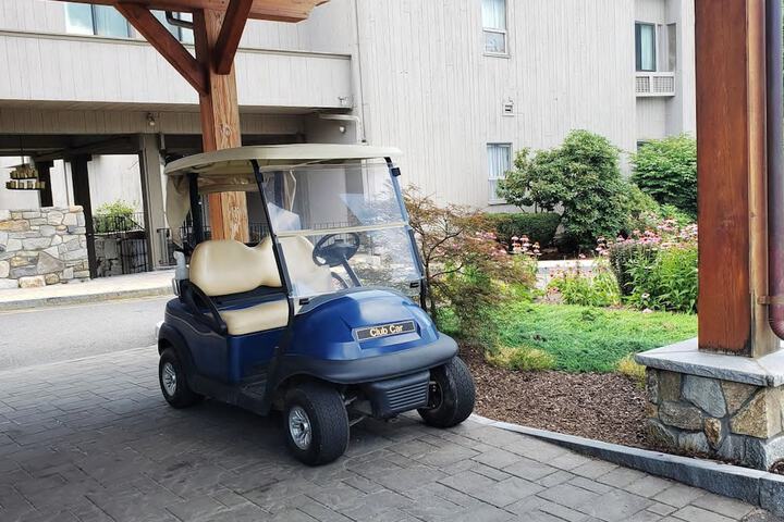 Golf cart