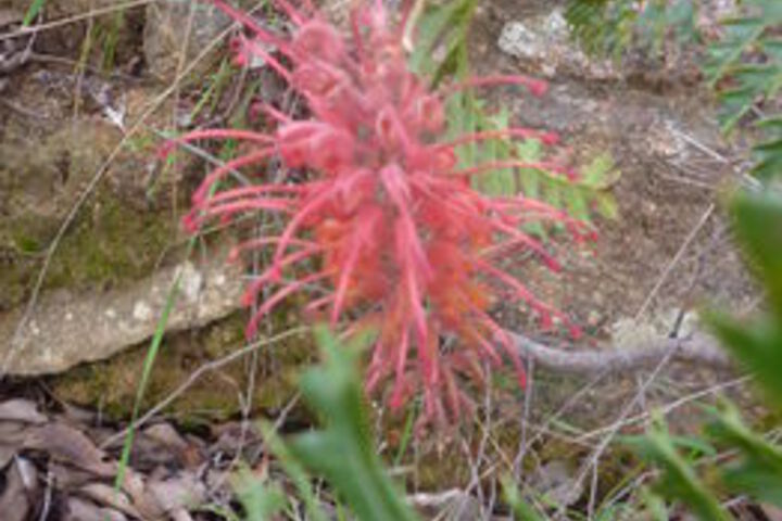 Hotel Exterior 32 of 111