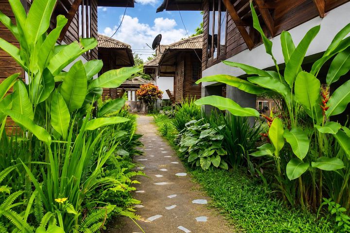 Garden view