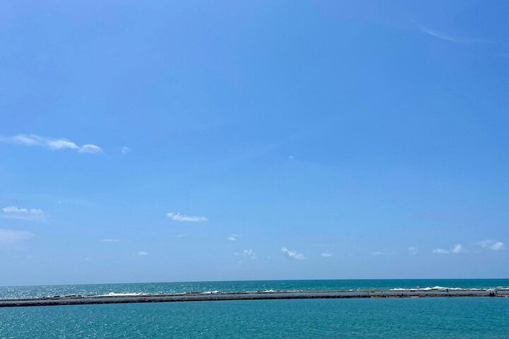 Beach 54 of 59