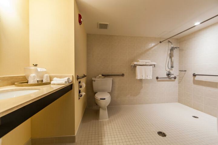 1 King Premium Lounge Accessible (2 of 19)