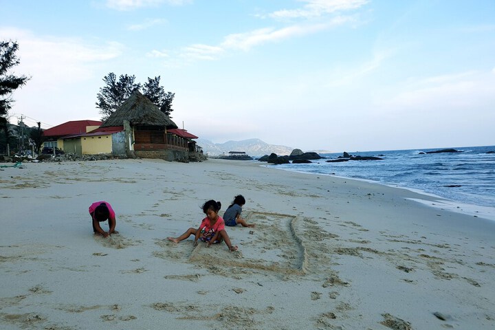 Beach 37 of 39