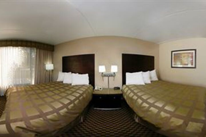 Suite Room