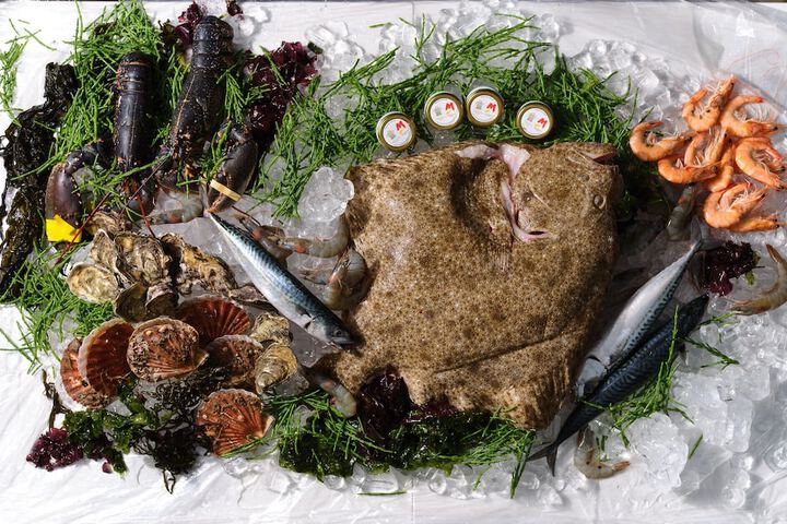 Dining 50 of 56