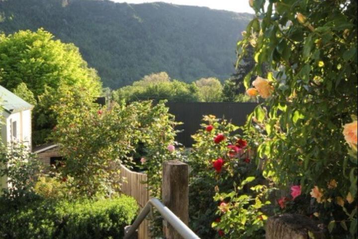 Spa and Wellness Pictures