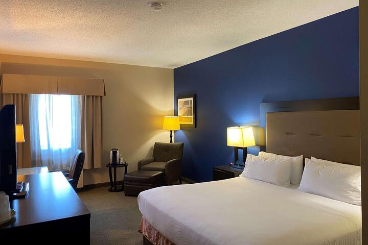 1 King Bed (6 of 9)