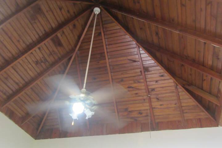 Room 5 of 20