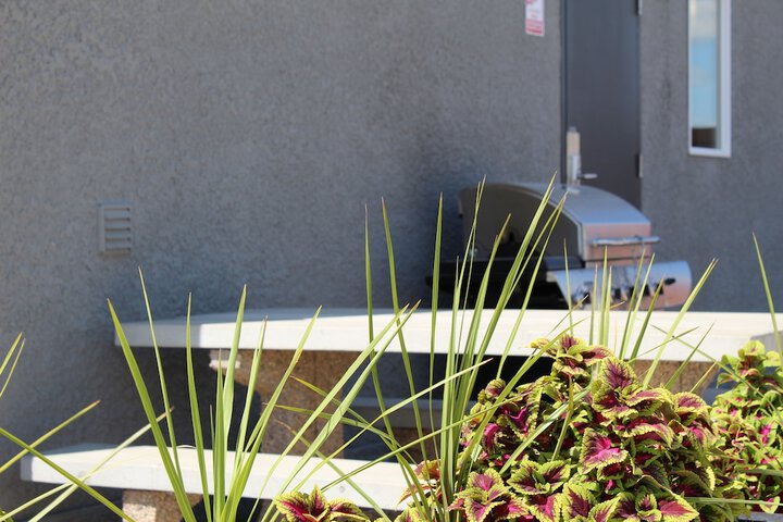 Property Grounds 44 of 48