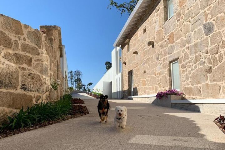 Pet Friendly 23 of 43