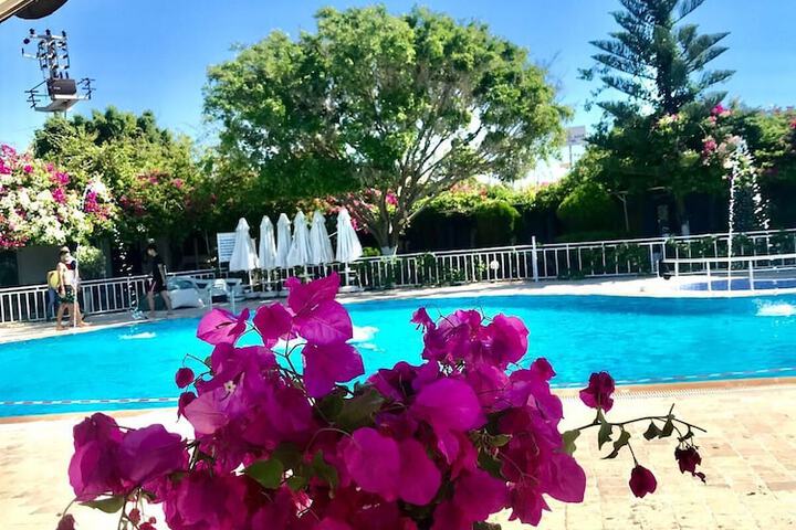 Pool 42 of 71