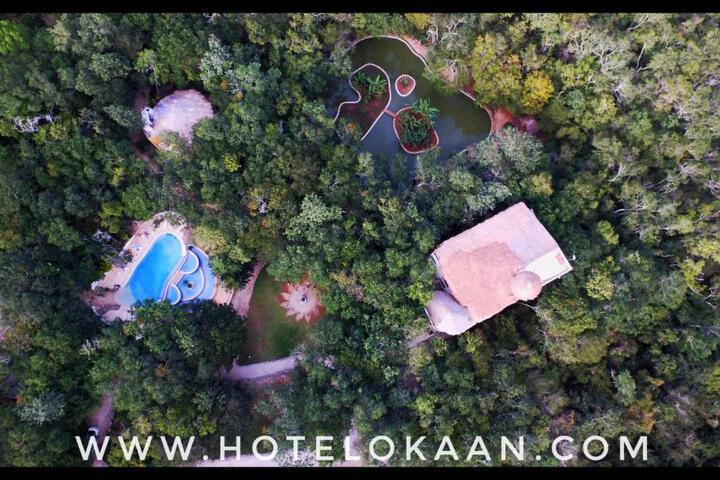 Spa and Wellness Pictures