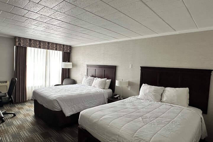 2 Queen Beds (3 of 14)