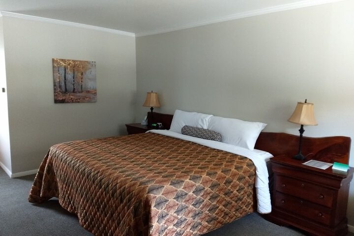 Luxury Room 1 King Bed Room 14 (8 of 21)