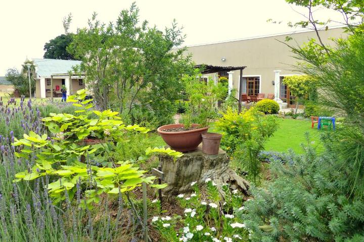 Spa and Wellness Pictures