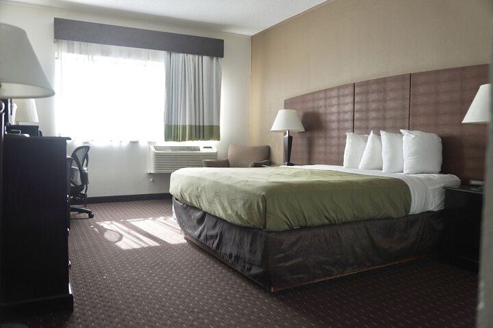 Standard King Room (3 of 18)