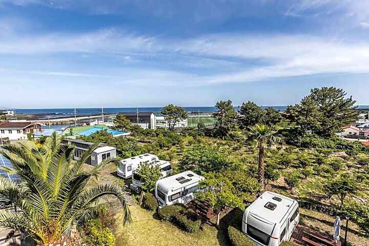 Jeju Pine Beach