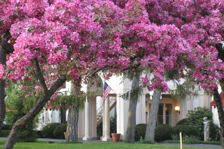 Property Grounds 47 of 62