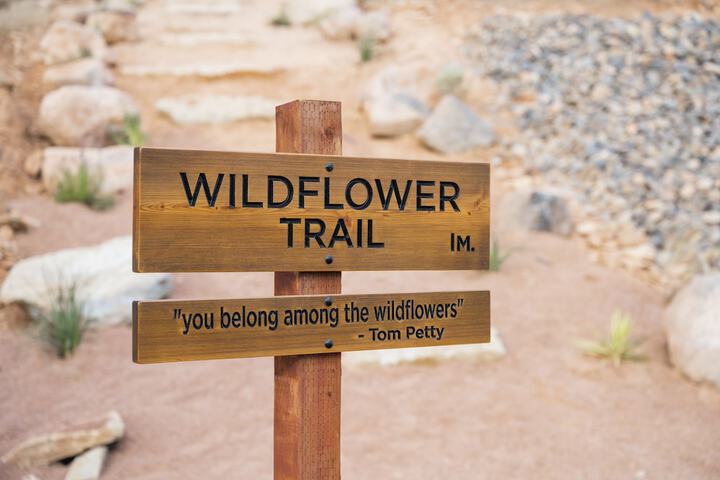 Hiking