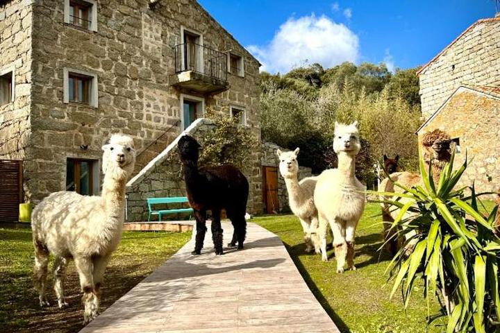 Photo of Les Bergeries de Figari