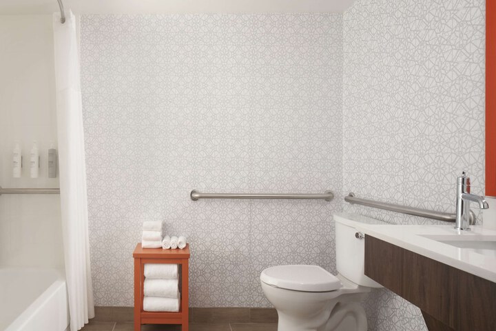 1 Queen Mobility Accessible Roll in Shower (4 of 6)
