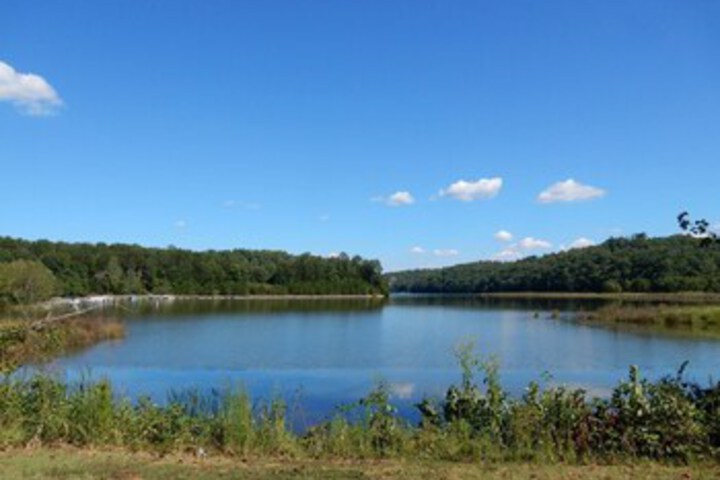 Property Grounds 32 of 88