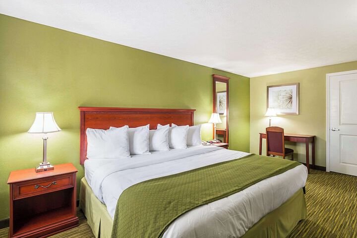 1 King Bed (5 of 9)