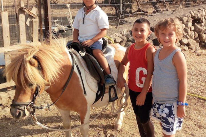 Horseback riding