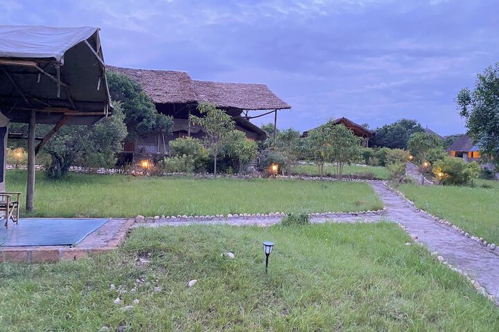 Eco Mara Tented Camp in Maasai Mara